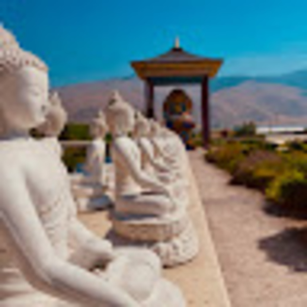 Meet your Posher, Leia